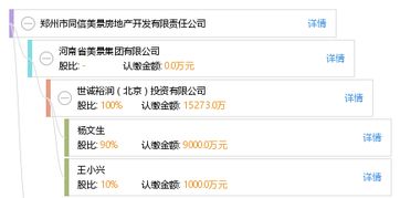 鄭州市同信美景房地產(chǎn)開發(fā)有限責(zé)任公司