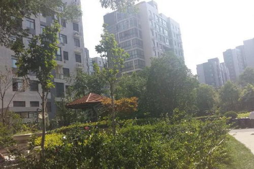 東方鼎盛時代三期優(yōu)點 不足,東方鼎盛時代三期怎么樣,東方鼎盛時代三期周邊房產中介經紀人評價 鄭州安居客